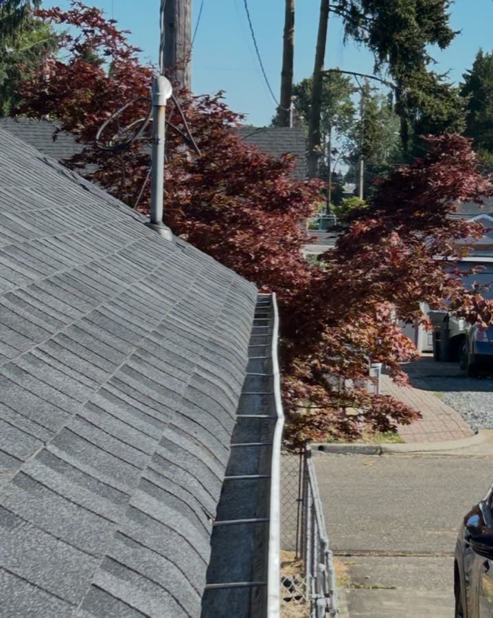 Clean, debris-free gutters on a residential roofline